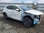 2024 Lexus NX 350 Base