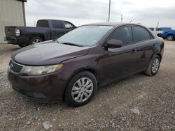 Salvage cars for sale at Temple, TX auction: 2011 KIA Forte EX