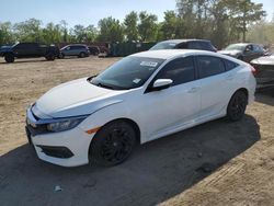 Salvage cars for sale at Baltimore, MD auction: 2016 Honda Civic LX