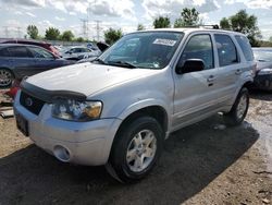 Salvage cars for sale at Elgin, IL auction: 2006 Ford Escape Limited