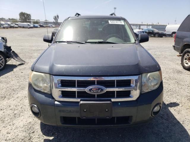 2008 Ford Escape XLT