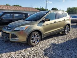 Ford Escape se salvage cars for sale: 2014 Ford Escape SE