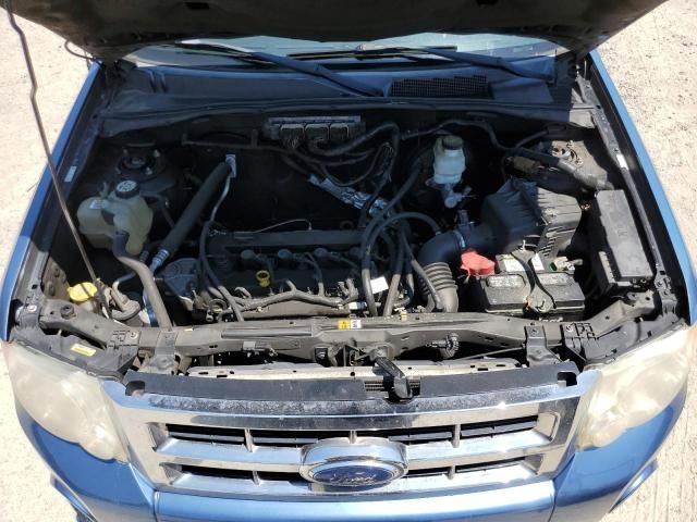 2009 Ford Escape XLT