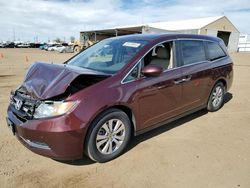 Salvage cars for sale from Copart Brighton, CO: 2015 Honda Odyssey EXL