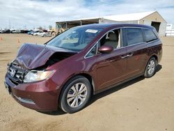 Honda Vehiculos salvage en venta: 2015 Honda Odyssey EXL