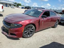 Dodge Charger salvage cars for sale: 2023 Dodge Charger SXT