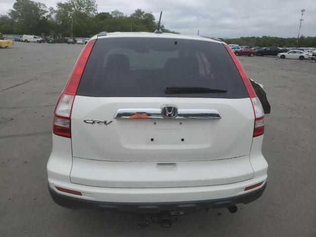 2010 Honda CR-V EXL