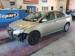 Salvage cars for sale from Copart Angola, NY: 2010 Toyota Corolla Base