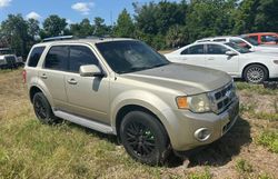 Buy Salvage Cars For Sale now at auction: 2011 Ford Escape Limited