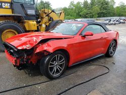 Vehiculos salvage en venta de Copart Mendon, MA: 2017 Ford Mustang