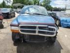 2004 Dodge Dakota Quad Sport