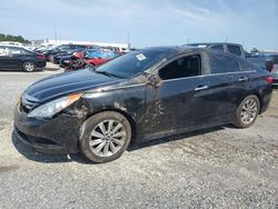 Vehiculos salvage en venta de Copart Jacksonville, FL: 2014 Hyundai Sonata SE