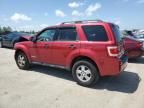 2008 Ford Escape XLT