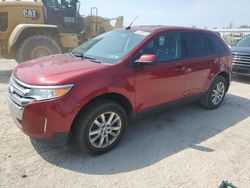 Salvage cars for sale at Harleyville, SC auction: 2013 Ford Edge SEL
