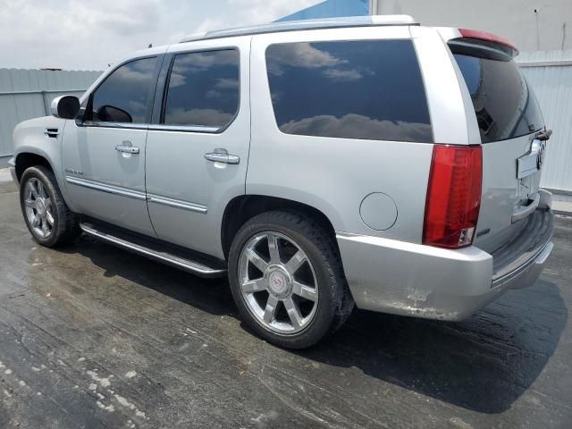 2010 Cadillac Escalade Luxury