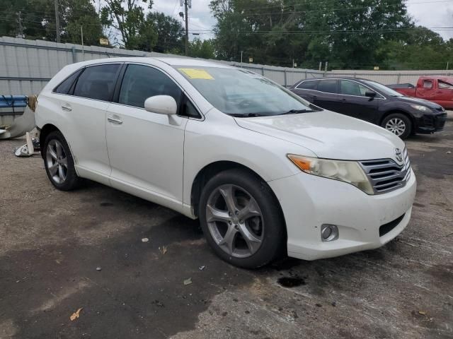 2010 Toyota Venza