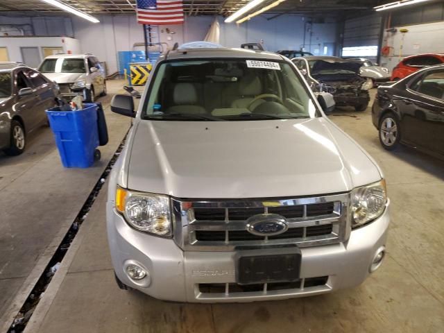 2008 Ford Escape XLT