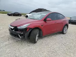 Salvage cars for sale at Temple, TX auction: 2020 Tesla Model Y