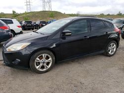 Salvage cars for sale at Littleton, CO auction: 2013 Ford Focus SE