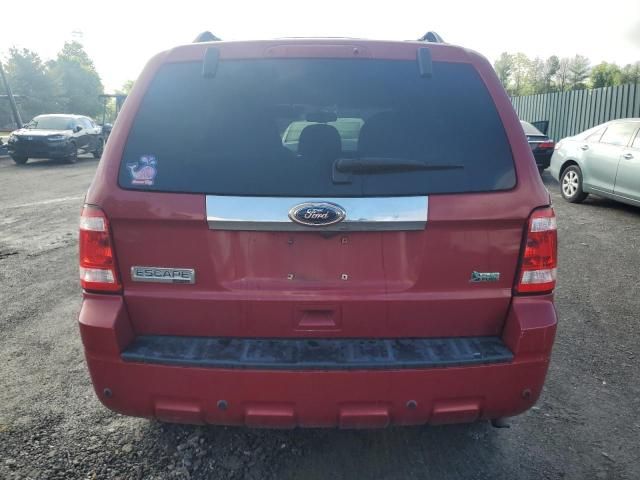 2010 Ford Escape Limited