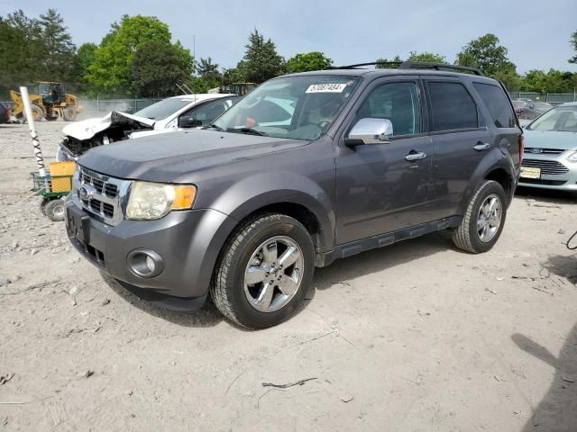 2010 Ford Escape XLT