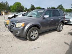 Salvage cars for sale from Copart Madisonville, TN: 2010 Ford Escape XLT