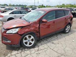 Vehiculos salvage en venta de Copart Indianapolis, IN: 2015 Ford Escape SE