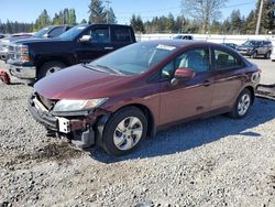 Salvage cars for sale at Graham, WA auction: 2014 Honda Civic LX