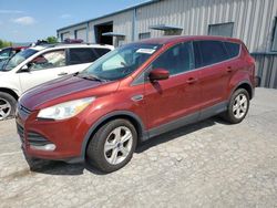 Salvage cars for sale at Chambersburg, PA auction: 2016 Ford Escape SE