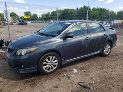 Toyota Corolla salvage cars for sale: 2009 Toyota Corolla Base