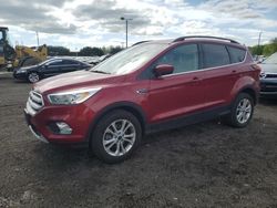 Salvage cars for sale at East Granby, CT auction: 2019 Ford Escape SEL