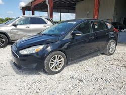 Salvage cars for sale at Homestead, FL auction: 2017 Ford Focus SE