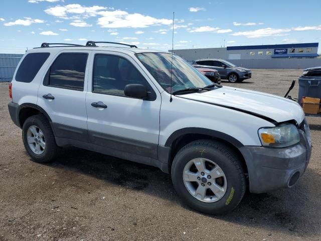 2007 Ford Escape XLT