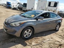 Salvage cars for sale from Copart Albuquerque, NM: 2014 Hyundai Elantra SE