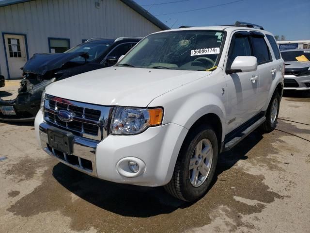 2008 Ford Escape HEV