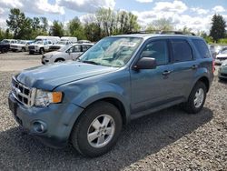 Ford Escape xlt salvage cars for sale: 2011 Ford Escape XLT