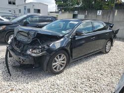 Salvage cars for sale at Opa Locka, FL auction: 2015 Toyota Avalon XLE
