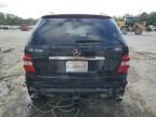 2010 Mercedes-Benz ML 350