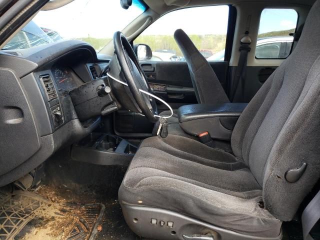 2004 Dodge Dakota SLT