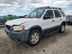 Salvage cars for sale at Magna, UT auction: 2004 Ford Escape XLT