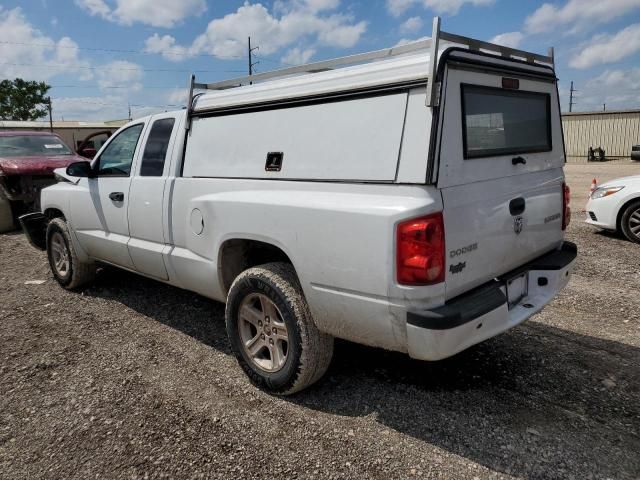 2011 Dodge Dakota SLT