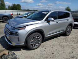 Vehiculos salvage en venta de Copart Arlington, WA: 2023 Hyundai Santa FE Limited