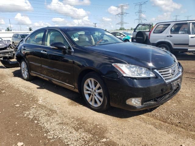 2010 Lexus ES 350