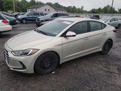 Salvage cars for sale at York Haven, PA auction: 2017 Hyundai Elantra SE