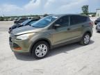 2013 Ford Escape S