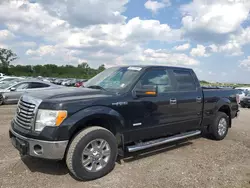 Salvage trucks for sale at Des Moines, IA auction: 2011 Ford F150 Supercrew