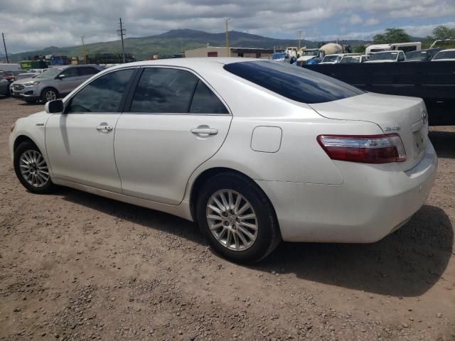 2009 Toyota Camry Hybrid