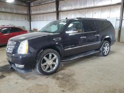 Salvage cars for sale at Des Moines, IA auction: 2014 Cadillac Escalade ESV Luxury