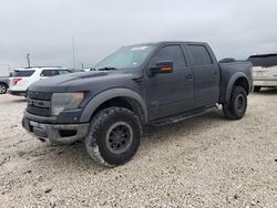 Vehiculos salvage en venta de Copart New Braunfels, TX: 2014 Ford F150 SVT Raptor