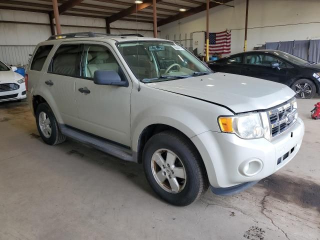 2009 Ford Escape XLT